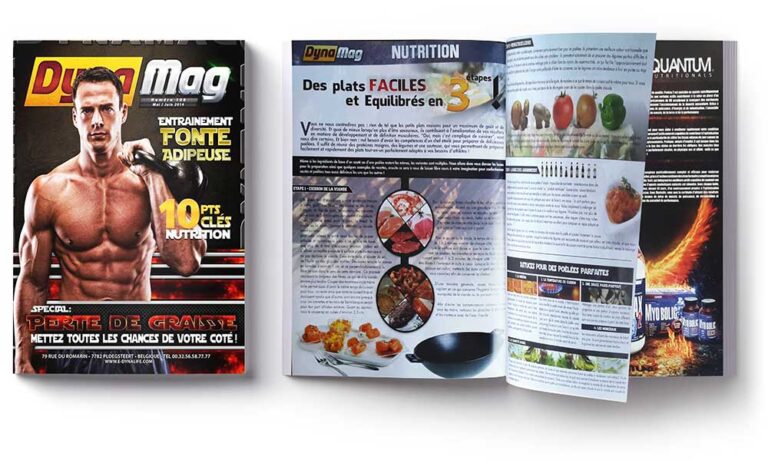 dynamag1 book graphiste,graphiste,infographiste,book infographiste,infographiste web