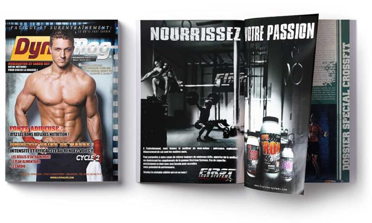 dynamag2 book graphiste,graphiste,infographiste,book infographiste,infographiste web